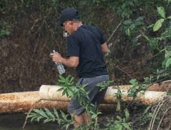 Air Berwarna Hitam: Masyarakat Desa Air Rapa Khawatir Limbah Pengolahan TBS PT Palmaris Cemari Sungai