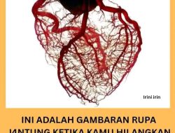Ada Sesuatu Dibalik Misteriusnya Jantung Manusia