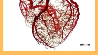 Ada Sesuatu Dibalik Misteriusnya Jantung Manusia