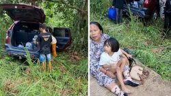 Kecelakaan di Jalan Lintas PALI–Cecar, Pengendara Asal Muratara Selamat Meski Kendaraan Rusak