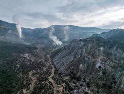 Jalur Pendakian Gunung Papandayan Ditutup Sementara Pasca Kemunculan Fenomena Api Biru di Kawah