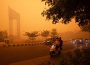 Pengendara Berkendara Melintasi Jalan