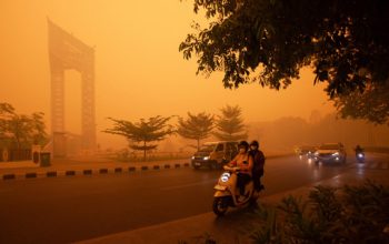Pengendara Berkendara Melintasi Jalan