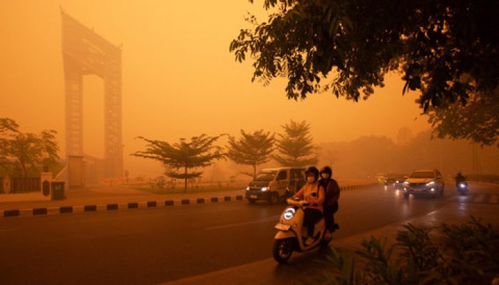 Pengendara Berkendara Melintasi Jalan