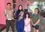 Sempat Viral Dibawa Pedagang Mi Ayam, Kucing Persia Cimi di Bekasi Akhirnya Ditemukan Selamat