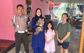 Sempat Viral Dibawa Pedagang Mi Ayam, Kucing Persia Cimi di Bekasi Akhirnya Ditemukan Selamat