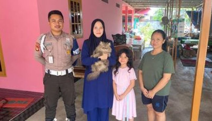 Sempat Viral Dibawa Pedagang Mi Ayam, Kucing Persia Cimi di Bekasi Akhirnya Ditemukan Selamat